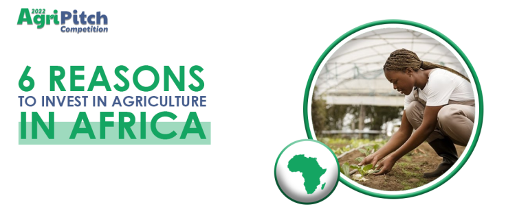 You are currently viewing Unlocking the Potential: 6 Compelling Reasons to Invest in Agriculture in Africa